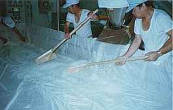 men at work men at work