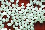 Sake rice polished to 50%. Note the white opaque starch packet in the center of many of the grains. Sake rice polished to 50%. Note the white opaque starch packet in the center of many of the grains.