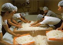 Sake Production -- Slideshow with 132 Images Sake Production -- Slideshow with 132 Images